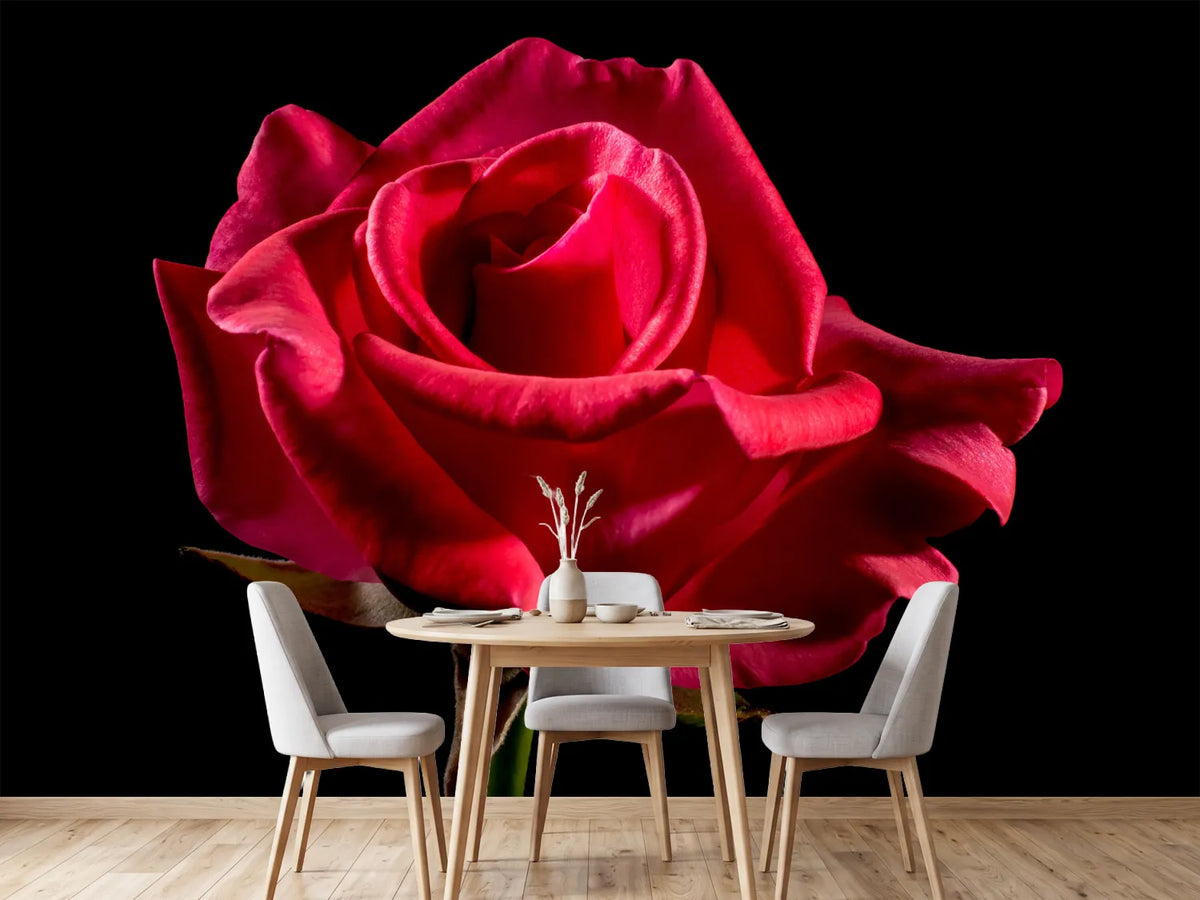 photo-wallpaper-the-flower-of-love