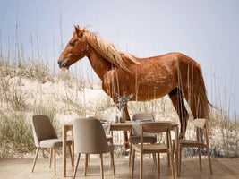 photo-wallpaper-wild-spanish-mustang