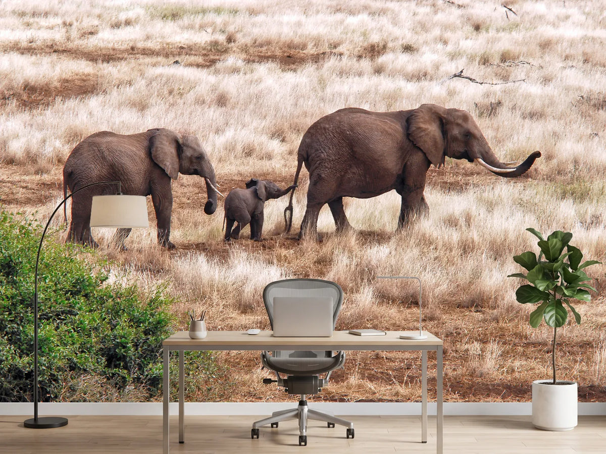 photo-wallpaper-elephant-family-tanzania-x