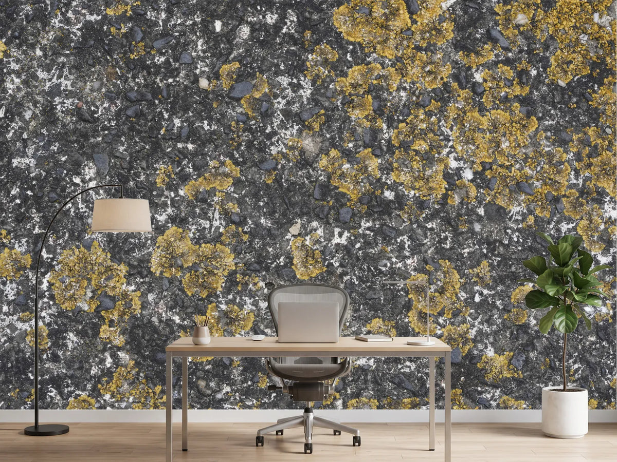photo-wallpaper-yellow-lichen-on-stone