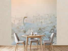 photo-wallpaper-song-of-the-morning-light