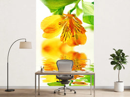 photo-wallpaper-flowing-orchid-flower