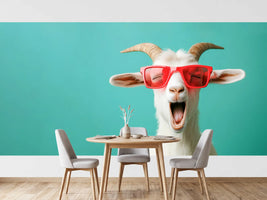 photo-wallpaper-laughing-goat-in-red-sunglasses-against-turquoise