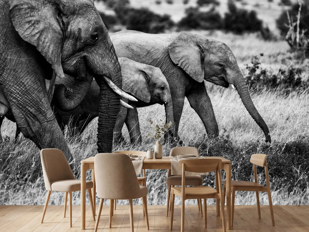 photo-wallpaper-elephant-family-x