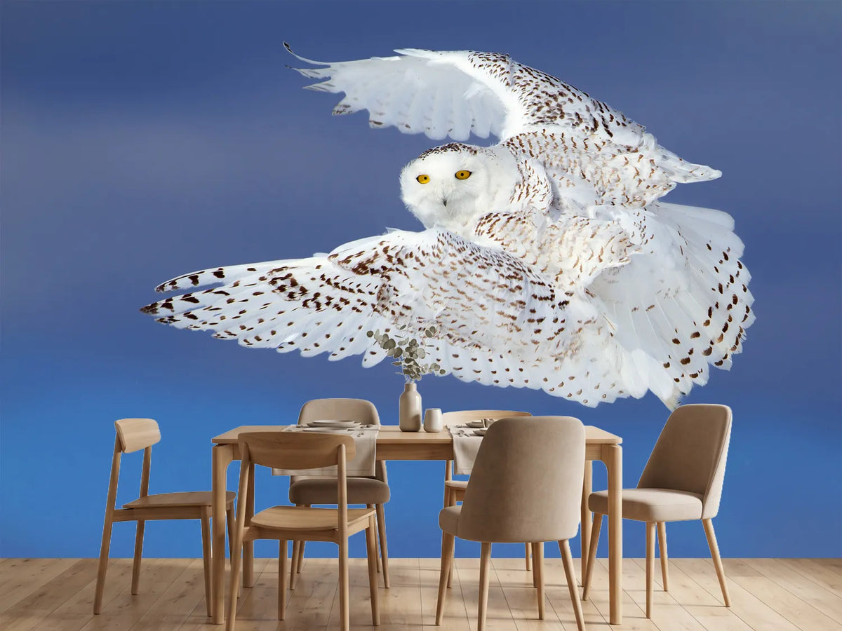 photo-wallpaper-flight-of-the-snowy-snowy-owl