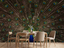 photo-wallpaper-majestic-peacock-display