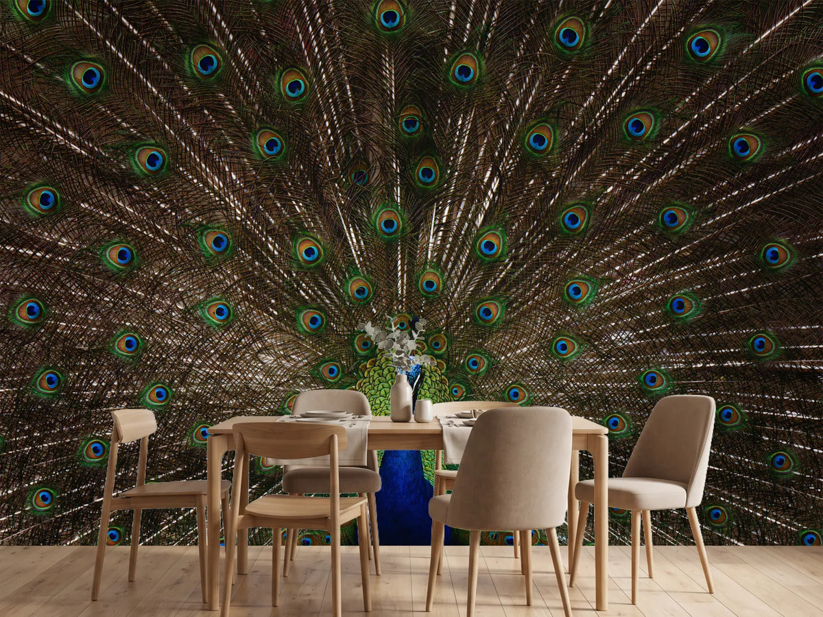 photo-wallpaper-majestic-peacock-display