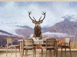 photo-wallpaper-monarch-of-the-glen-2