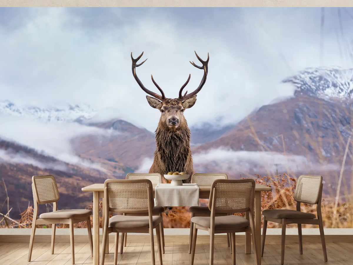 photo-wallpaper-monarch-of-the-glen-2