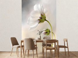 photo-wallpaper-heavenly-cosmos