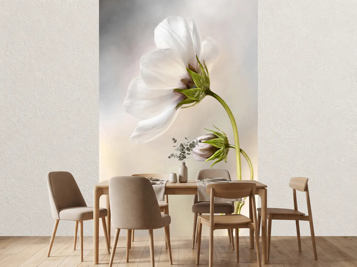 photo-wallpaper-heavenly-cosmos