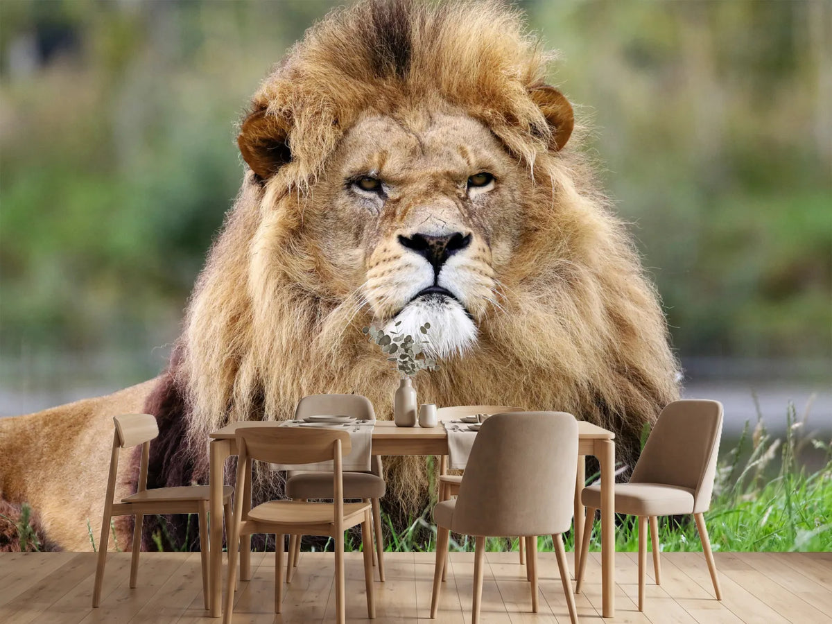 photo-wallpaper-the-king-of-animals