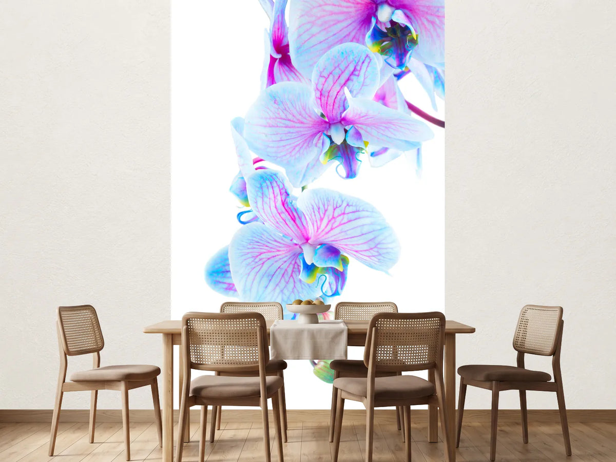 photo-wallpaper-orchid-butterfly