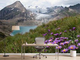 photo-wallpaper-corno-gries-switzerland-x