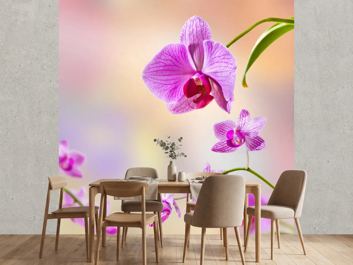 photo-wallpaper-romantic-orchids