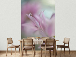 photo-wallpaper-in-pink-delight