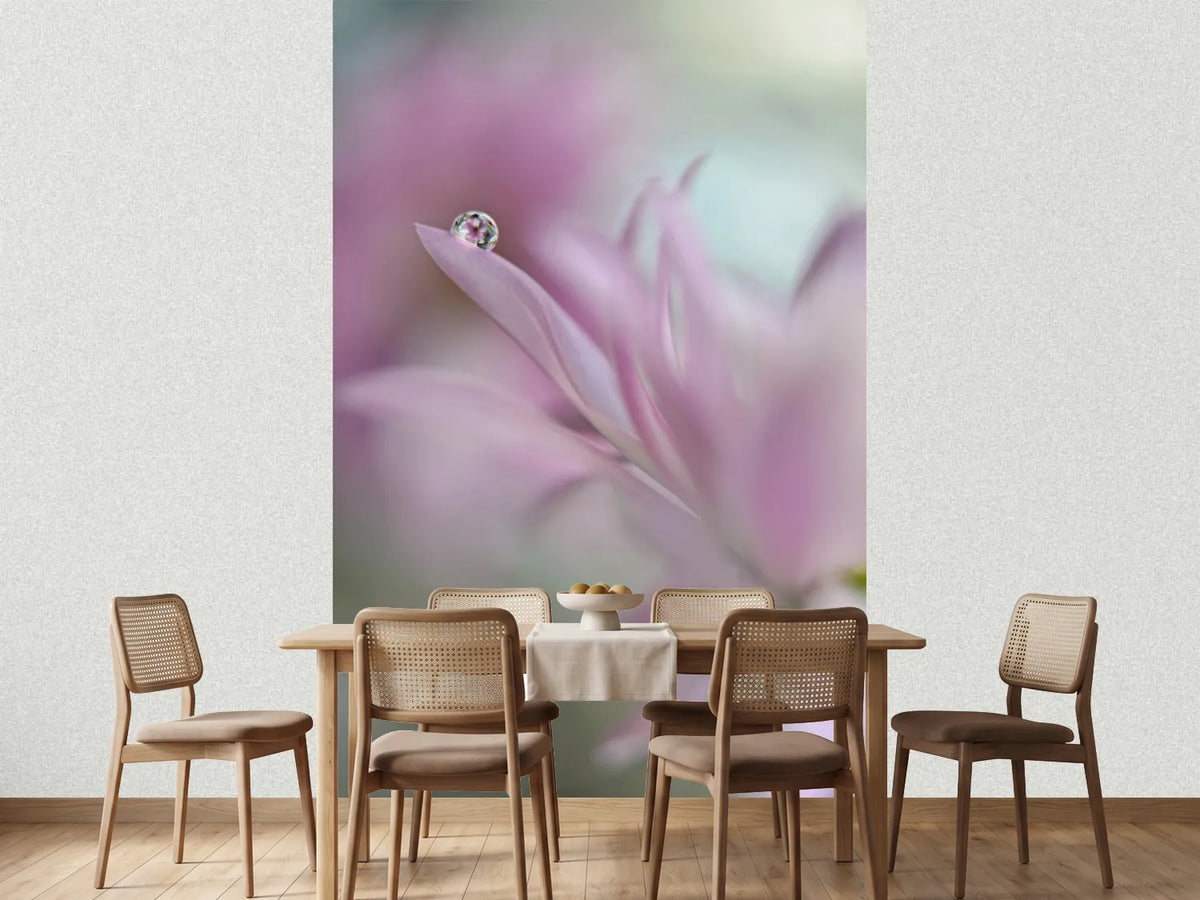 photo-wallpaper-in-pink-delight