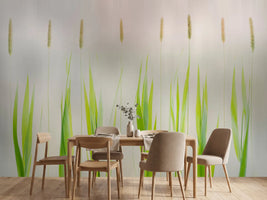 photo-wallpaper-harmony-x