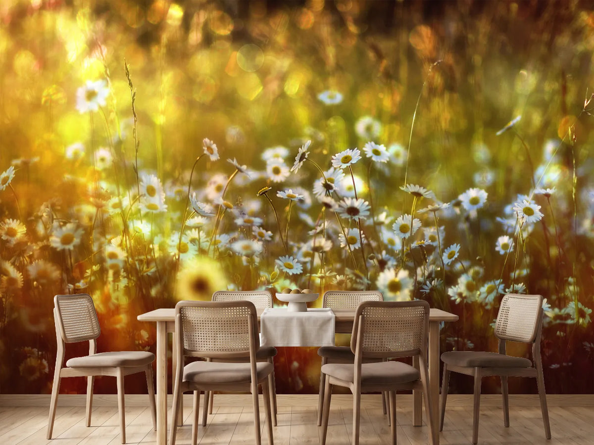 photo-wallpaper-wonderland