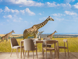 photo-wallpaper-trio-giraffes-x