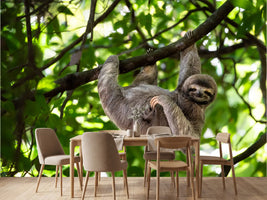 photo-wallpaper-relaxed-hanging-out