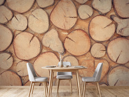 photo-wallpaper-wall-trees