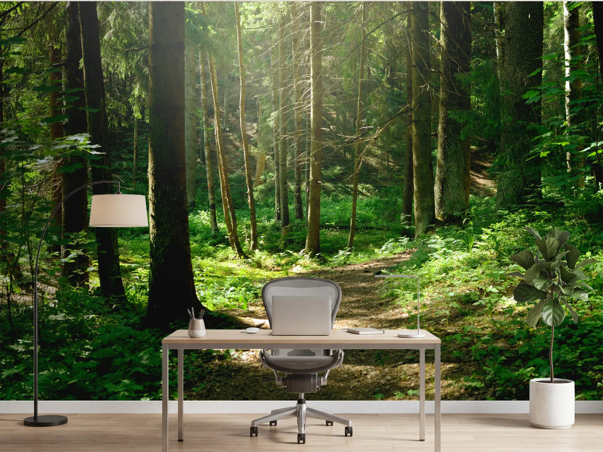 photo-wallpaper-summer-sunny-forest