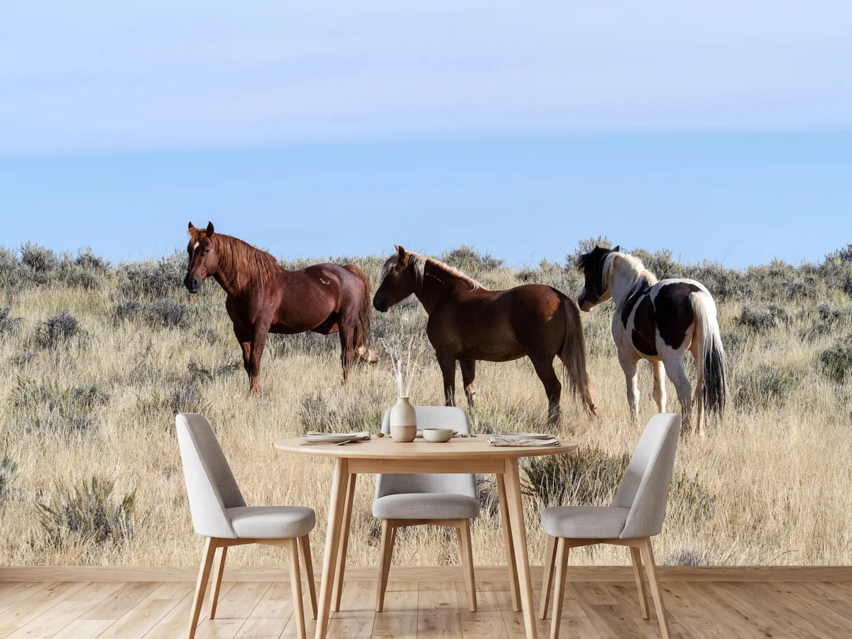 photo-wallpaper-3-horses-in-nature