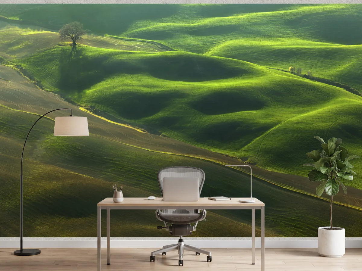 photo-wallpaper-rolling-green-hills