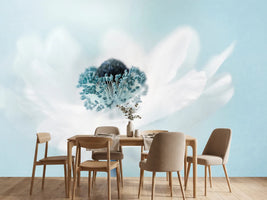 photo-wallpaper-candy-floss