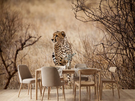 photo-wallpaper-elegant-cheetah