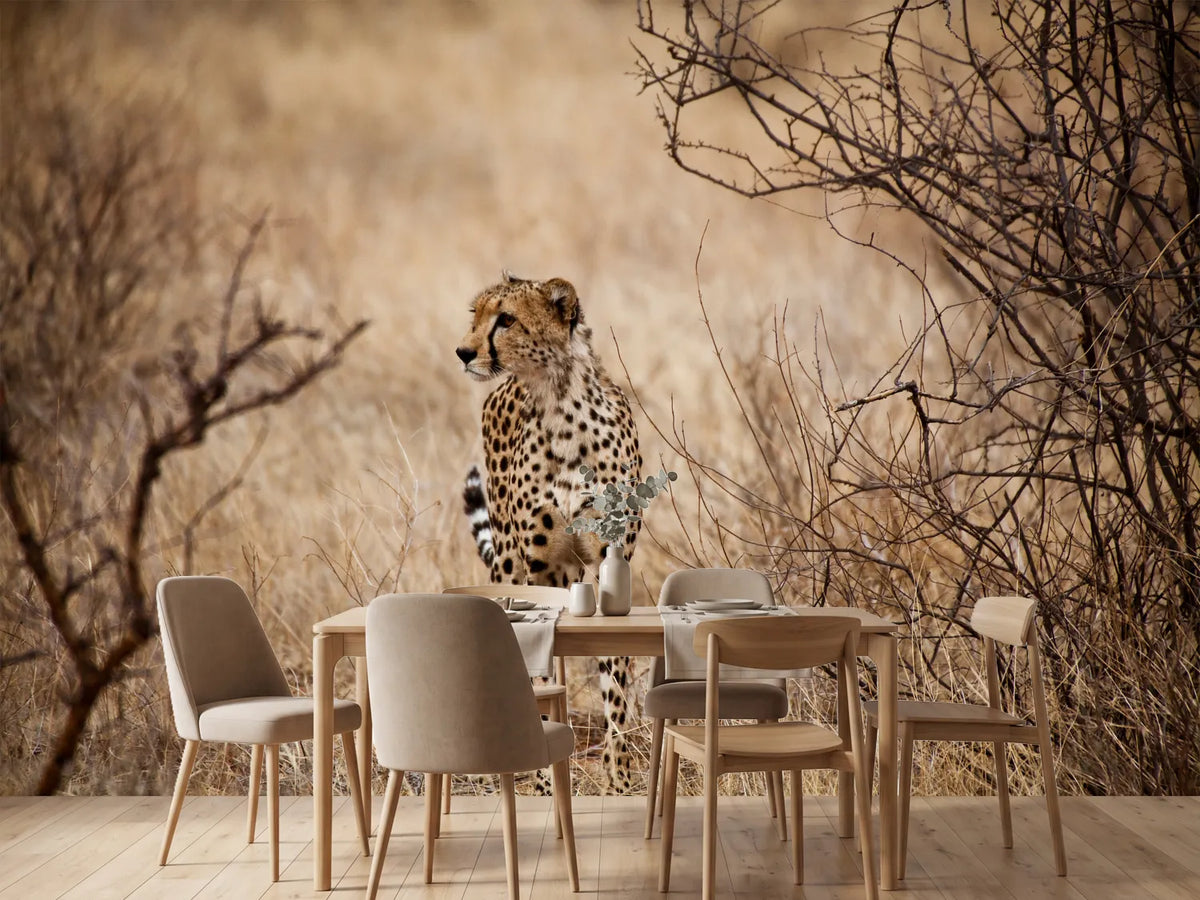 photo-wallpaper-elegant-cheetah