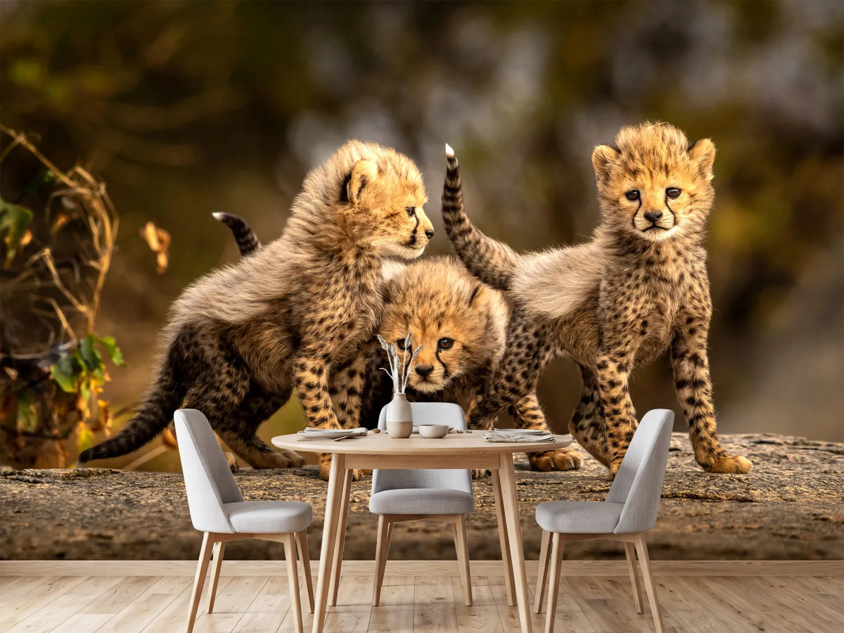 photo-wallpaper-three-little-cheetahs-x