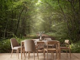 photo-wallpaper-beautiful-green-summer-forest-spring-background-backdrop