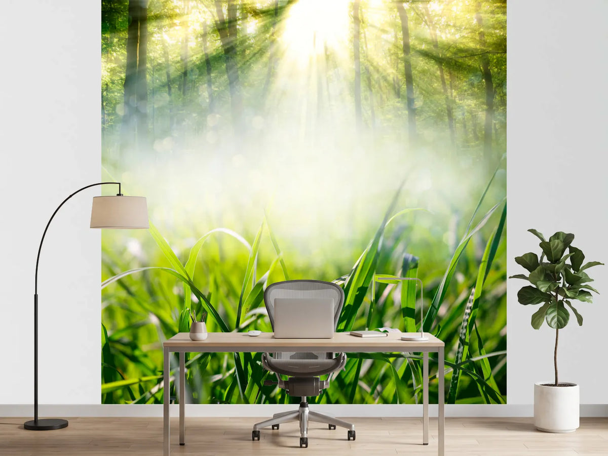 photo-wallpaper-magic-forest