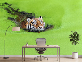 photo-wallpaper-relaxation-x