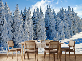 photo-wallpaper-beautiful-winter-landscape