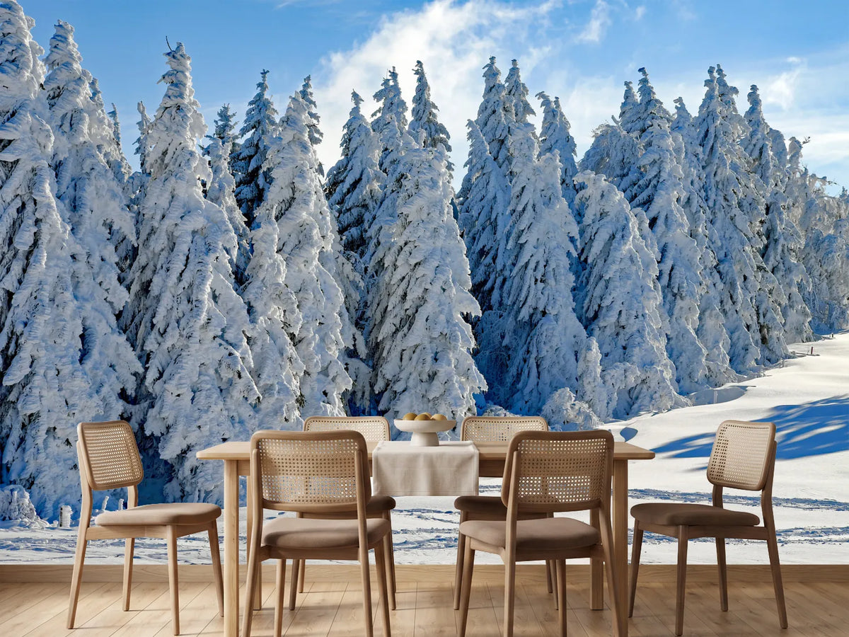 photo-wallpaper-beautiful-winter-landscape