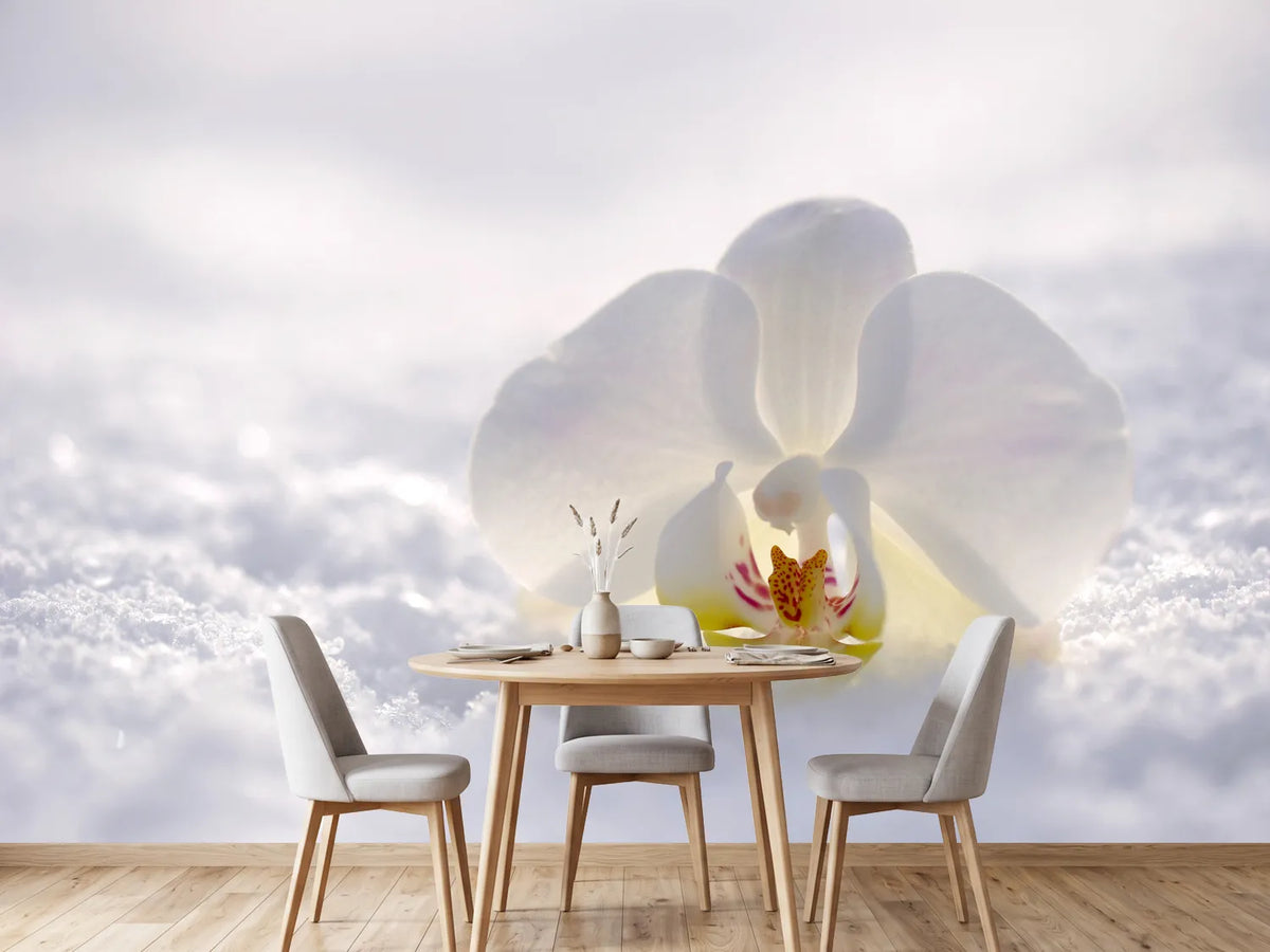 photo-wallpaper-the-orchids-bloom