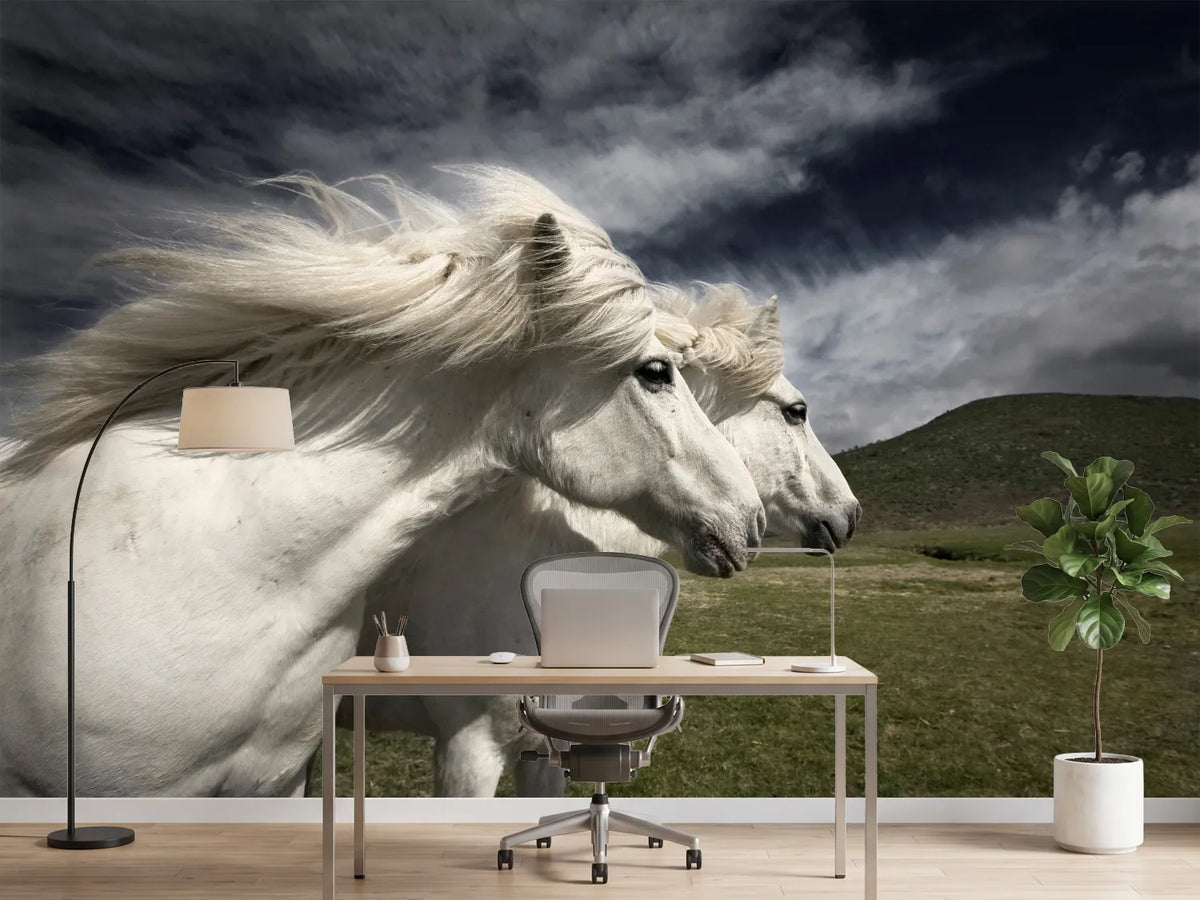 photo-wallpaper-interplay