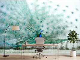 photo-wallpaper-vibrant-peacock-display