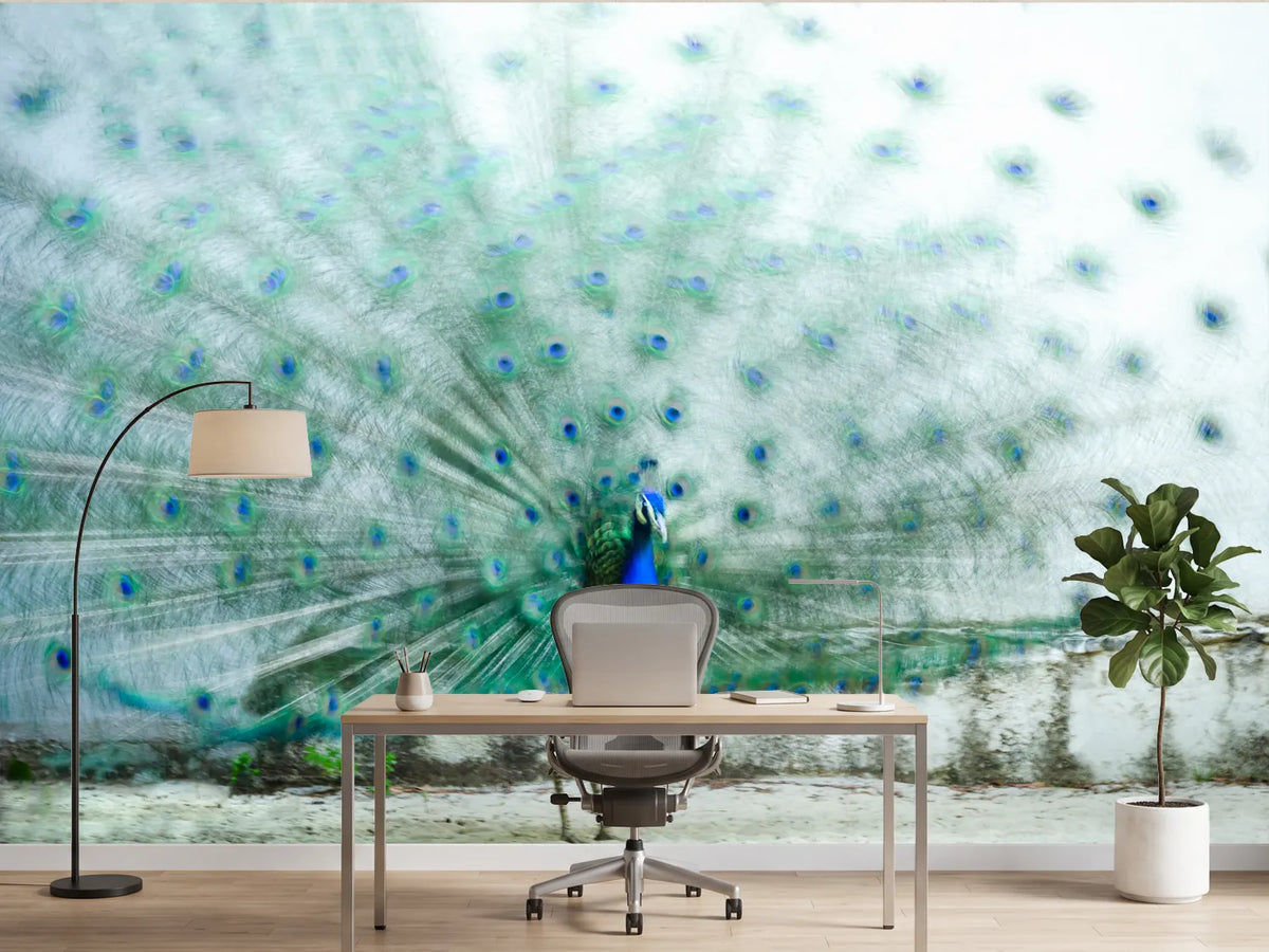 photo-wallpaper-vibrant-peacock-display