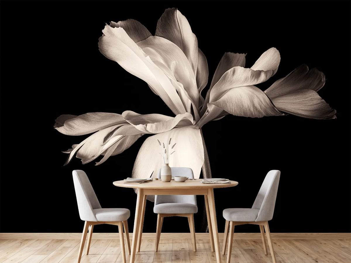 photo-wallpaper-simplicity