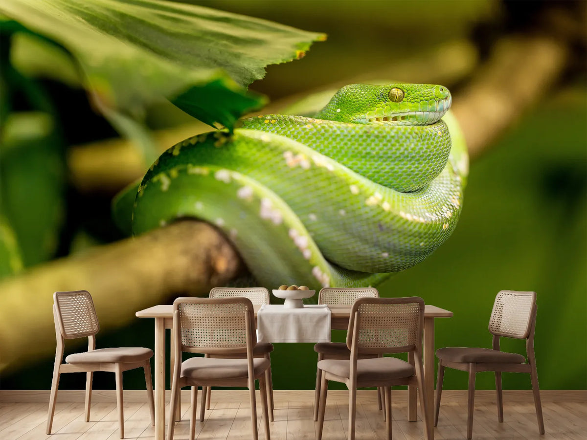 photo-wallpaper-green-snake