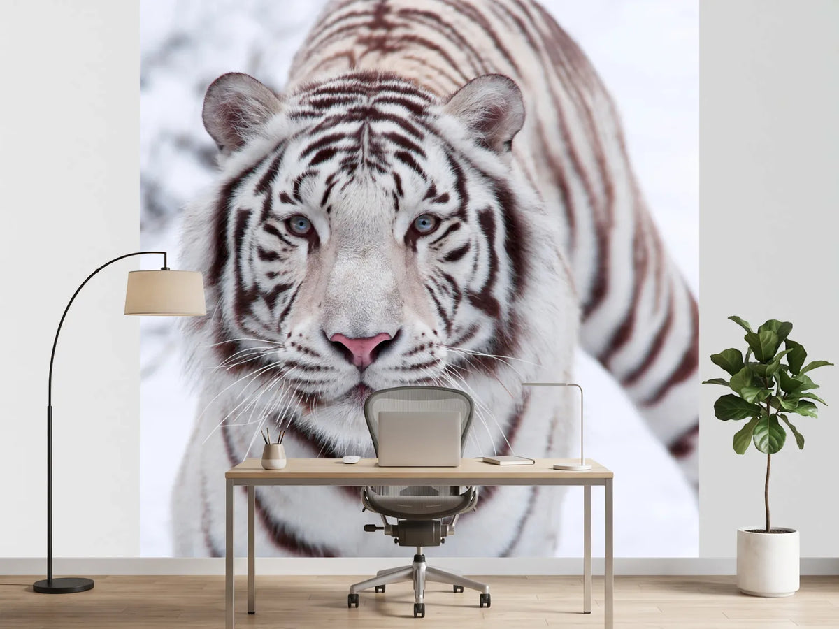 photo-wallpaper-the-king-tiger