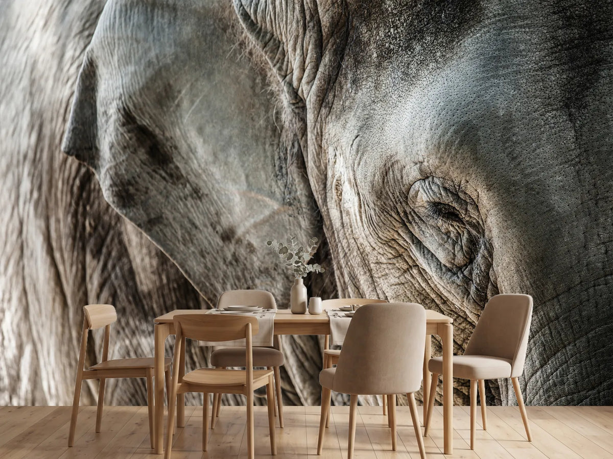 photo-wallpaper-close-up-elephant