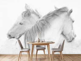 photo-wallpaper-horses