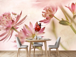 photo-wallpaper-ladybird-and-pink-flowers-x
