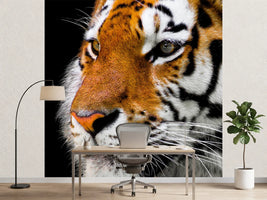 photo-wallpaper-close-up-tiger-head