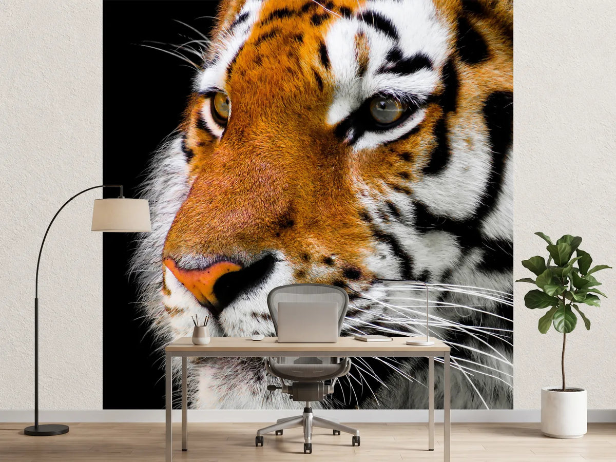 photo-wallpaper-close-up-tiger-head